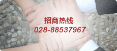 ߣ028-88537967